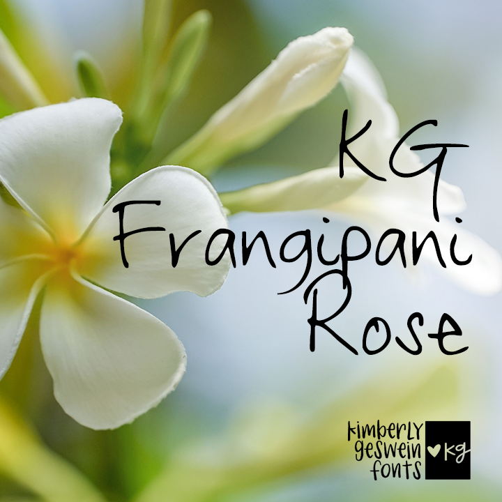 KG Frangipani Rose Graphic
